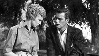 «Поцелуй перед смертью (1956)» — обои к фильму #2
