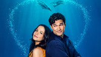 «Love and Penguins (2022)» — обои к фильму #1