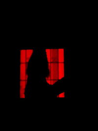 Poster do Filme Zautoritratto