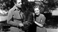 «Amateur Daddy (1932)» — обои к фильму #1