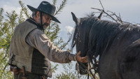 «Голова Хоакина Мурьеты (2023)» — обои к сериалу #5