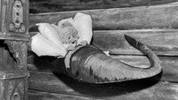 «Sjuende far i huset (1966)» — обои к мультфильму #1
