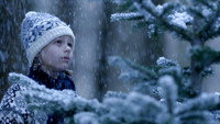 «Ель (2011)» — обои к фильму #1