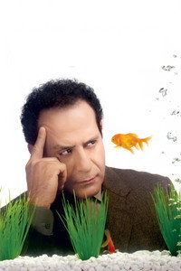 Постер сериала «Дефективный детектив (2002-2009)» — (6 из 92)