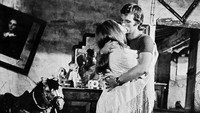 «Дьявол в мозгу (1972)» — обои к фильму #2