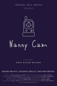 Nanny Cam (2020)