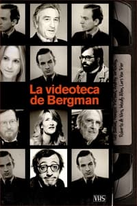 Poster de Bergmans video