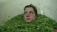 «Parsley Days (2000)» — обои к фильму #1