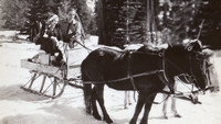 «Признания студентки (1931)» — обои к фильму #2