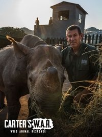 Watch Carter's W.A.R. - Season 1 123Movies
