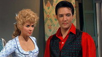 «Фрэнки и Джонни (1966)» — обои к фильму #1