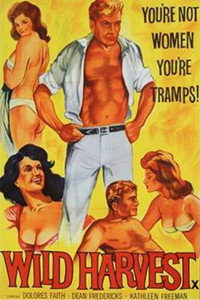 Постер фильма «Wild Harvest (1962)» — (2 из 3)