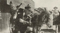 «Глаза ночи (1916)» — обои к фильму #1