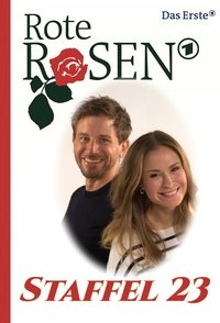 Season 23 Poster