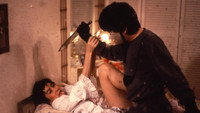 Police story