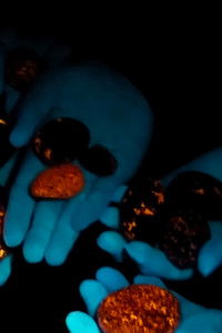 Imagem do Filme Look On the Bright Side