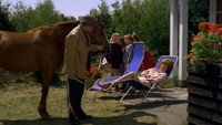«Mor bag rattet (1965)» — обои к фильму #2