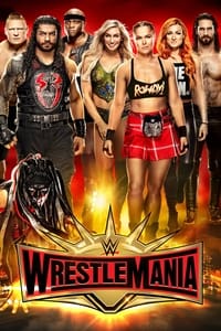  WWE WrestleMania 35