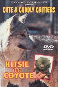 movie_cover