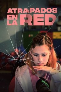 Poster de V síti