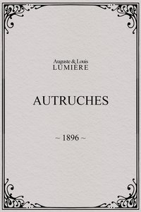 Autruches