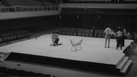 «Безрассудная любовь (1969)» — обои к фильму #9