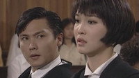 «生命火花 (1995)» — обои к сериалу #1