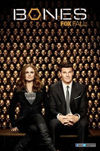 Постер сериала «Кости (2005 - 2017)» — (72 из 181)