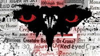 «Eyes of the Mothman (2011)» — обои к фильму #1