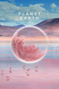 Постер сериала «Планета Земля 2 (2016)» — (14 из 44)