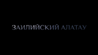Логотип фильма «Заилийский Алатау (2021)» — (1 из 4)