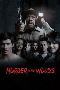 Постер фильма «Убийство в лесу (2017)» — (5 из 10)