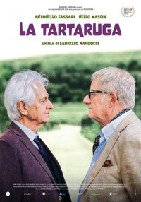 LA TARTARUGA