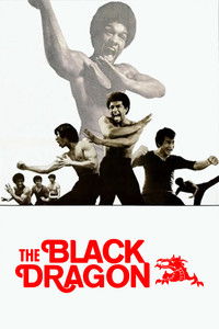Imagem do Filme The Black Dragon