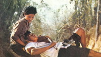 «Plae kao (1977)» — обои к фильму #2