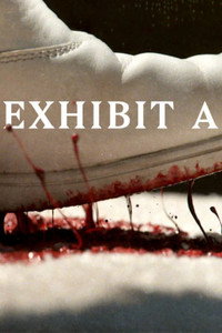 Постер сериала «Exhibit A (2019)» — (5 из 11)