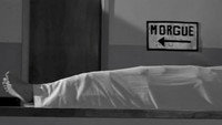 Graveyard Alive: A Zombie Nurse in Love