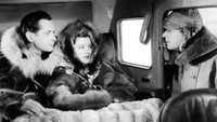 «Petticoat Fever (1936)» — обои к фильму #1
