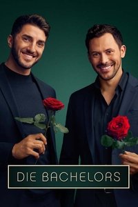 Season 14 Poster
