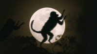«BBC: Прогулки с чудовищами (2001)» — обои к сериалу #5
