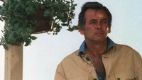 «Гарри О (1973-1976)» — обои к сериалу #5