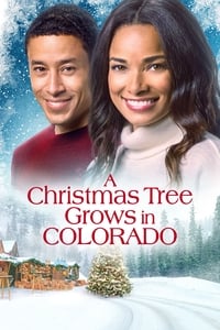 A Christmas Tree Grows in Colorado - 2020