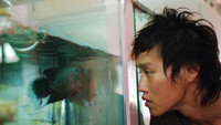 «The Elephant and the Sea (2007)» — обои к фильму #1