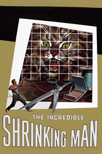 Постер фильма «Невероятно худеющий человек (1957)» — (5 из 46)