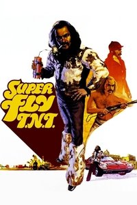 Poster de Super Fly T.N.T.