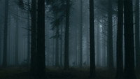 «Темное сердце леса (2021)» — обои к фильму #1