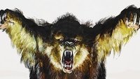 Grizzly : le Monstre de la Forêt