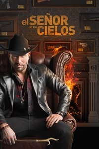 El señor de los cielos (2013) 