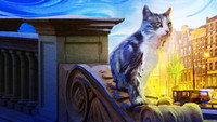 «Poeslief: een ode aan de kat (2020)» — обои к фильму #8