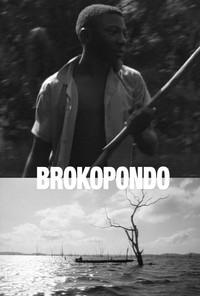 Brokopondo: Stories of a Drowned Land (1994) poster